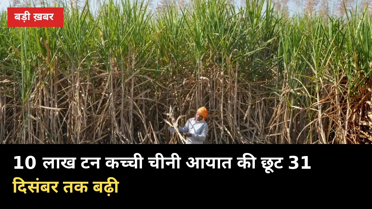 10 लाख टन कच्ची चीनी आयात की छूट 31 दिसंबर तक बढ़ी, गन्ना भाव पर ये असर