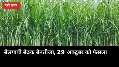 GannaUP — उत्तर प्रदेश गन्ना किसान पोर्टल