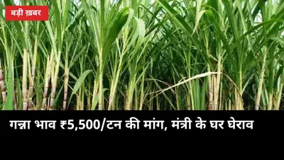 गन्ना भाव ₹5,500/टन की मांग: मंत्री के घर घेराव, जानिए UP किसानों पर इसका असर