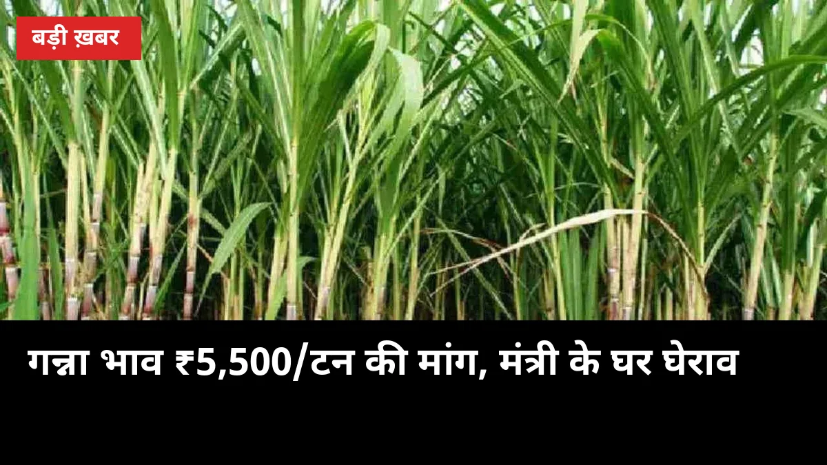 गन्ना भाव ₹5,500/टन की मांग: मंत्री के घर घेराव, जानिए UP किसानों पर इसका असर