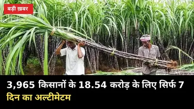 न्यौली मिल पर RC जारी: 3,965 किसानों के 18.54 करोड़ के लिए सिर्फ 7 दिन का अल्टीमेटम