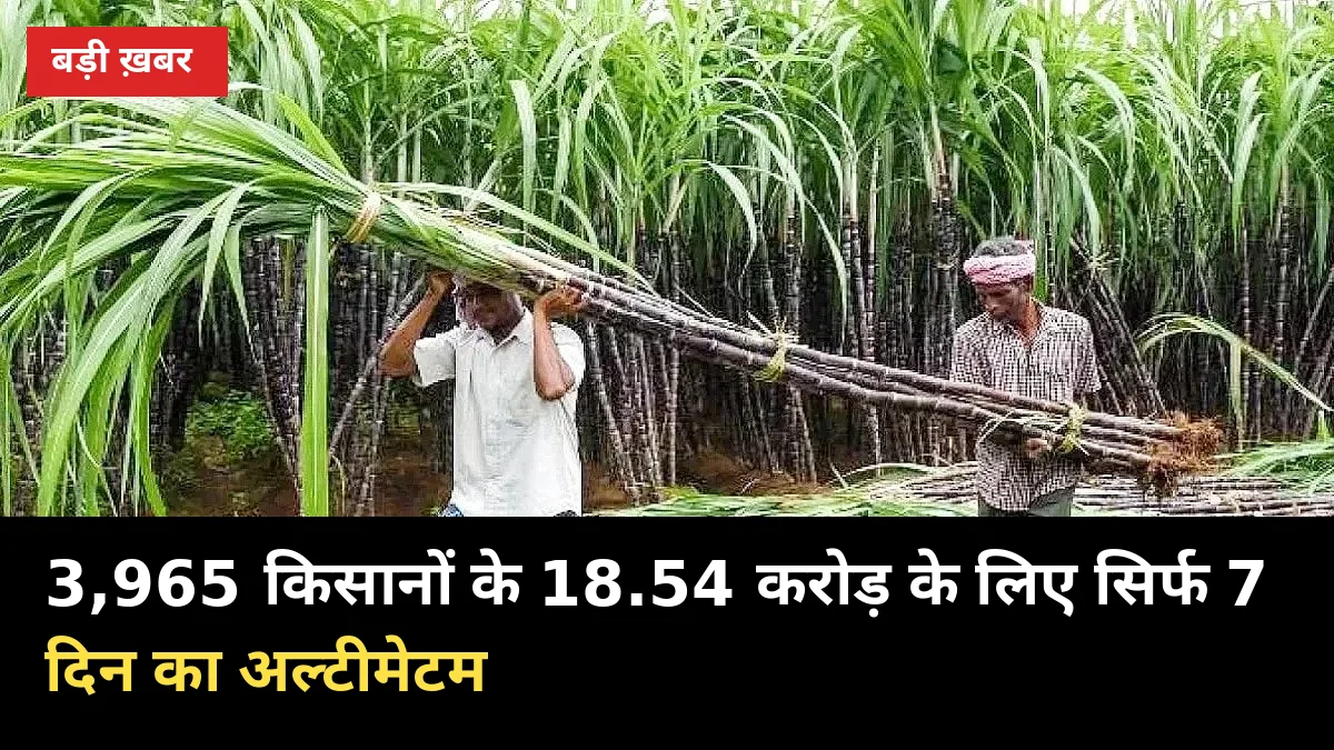 न्यौली मिल पर RC जारी: 3,965 किसानों के 18.54 करोड़ के लिए सिर्फ 7 दिन का अल्टीमेटम