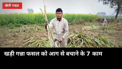 GannaUP — उत्तर प्रदेश गन्ना किसान पोर्टल
