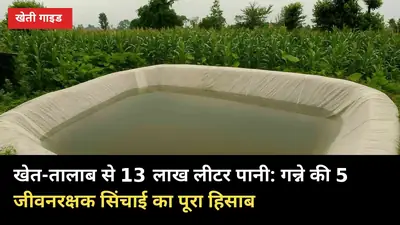 खेत-तालाब से 13 लाख लीटर पानी: गन्ने की 5 जीवनरक्षक सिंचाई का पूरा हिसाब
