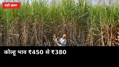 कोल्हू पर ₹450 वाला गन्ना अब ₹380 में: मिल खुलने तक बेचें या रुकें