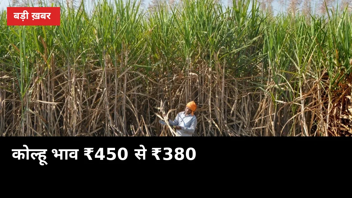 कोल्हू पर ₹450 वाला गन्ना अब ₹380 में: मिल खुलने तक बेचें या रुकें