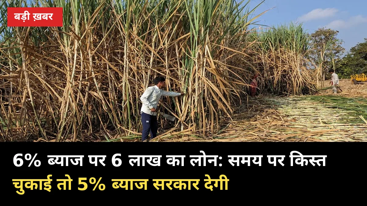 6% ब्याज पर 6 लाख का लोन: समय पर किस्त चुकाई तो 5% ब्याज सरकार देगी