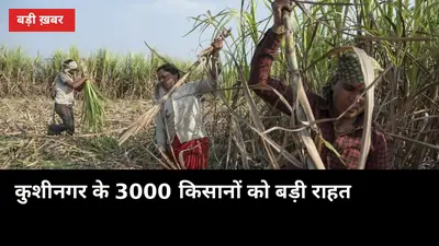 कुशीनगर के 3000 किसानों को बड़ी राहत: रेता के सभी केंद्र अब खड्डा मिल को मिले