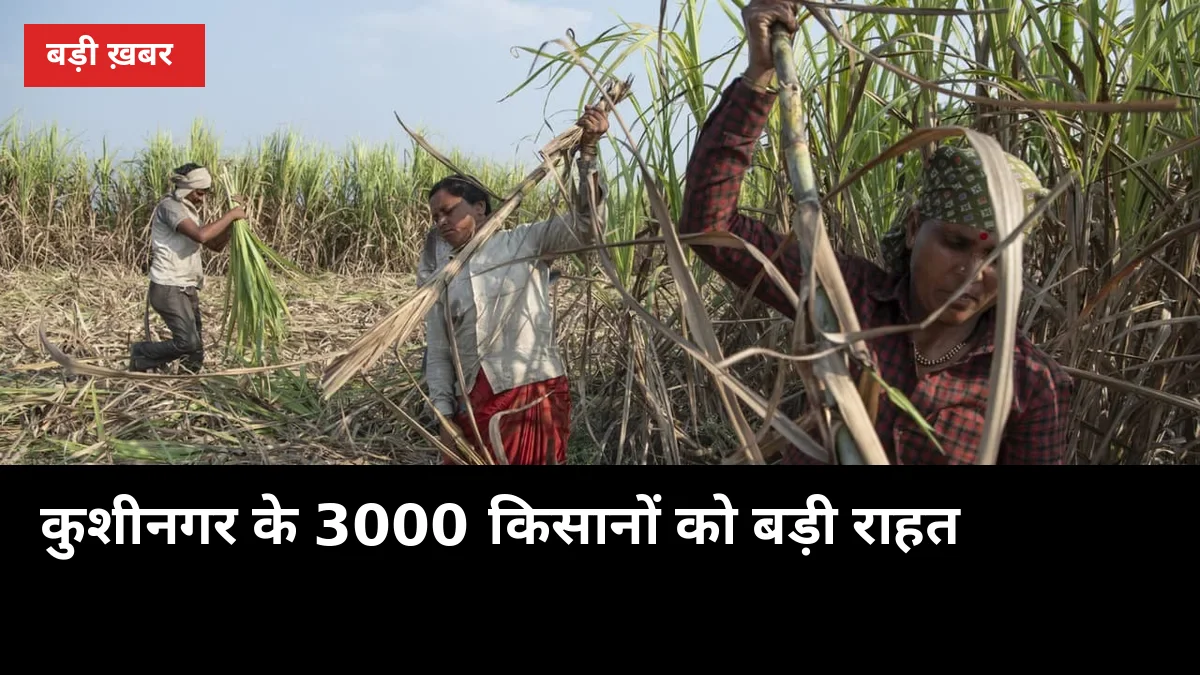 कुशीनगर के 3000 किसानों को बड़ी राहत: रेता के सभी केंद्र अब खड्डा मिल को मिले