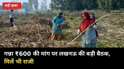 ₹600 गन्ना भाव की मांग पर लखनऊ की बड़ी बैठक, मिलें भी राजी — पर ऐलान कौन करेगा?