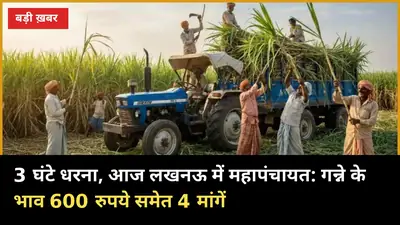 3 घंटे धरना, आज लखनऊ में महापंचायत: गन्ने के भाव 600 रुपये समेत 4 मांगें
