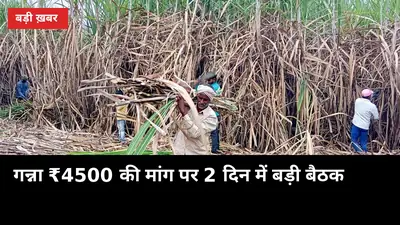 गन्ना ₹4500 प्रति टन की मांग पर 2 दिन में बड़ी बैठक, यूपी किसानों को क्या मिलेगा
