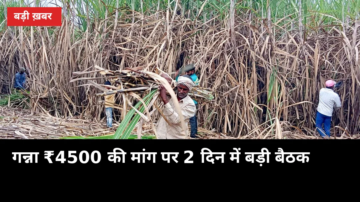 गन्ना ₹4500 प्रति टन की मांग पर 2 दिन में बड़ी बैठक, यूपी किसानों को क्या मिलेगा