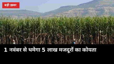 1 नवंबर से थमेगा 5 लाख मजदूरों का कोयता, UP के किसानों पर भी पड़ेगा असर