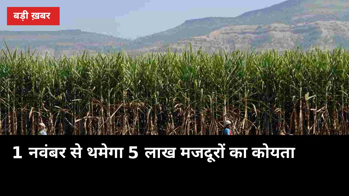 1 नवंबर से थमेगा 5 लाख मजदूरों का कोयता, UP के किसानों पर भी पड़ेगा असर