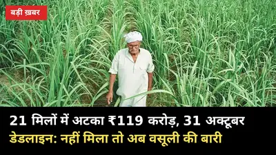 21 मिलों में अटका ₹119 करोड़, 31 अक्टूबर डेडलाइन: नहीं मिला तो अब वसूली की बारी