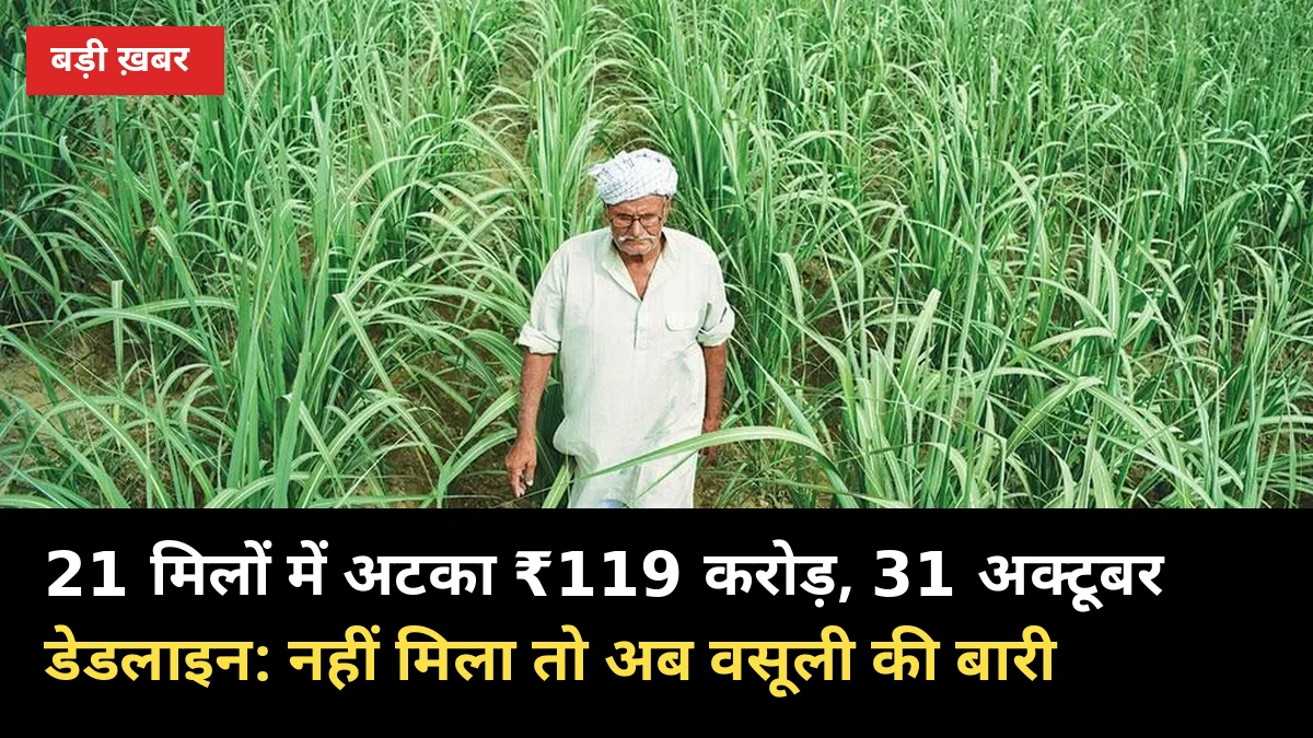 21 मिलों में अटका ₹119 करोड़, 31 अक्टूबर डेडलाइन: नहीं मिला तो अब वसूली की बारी