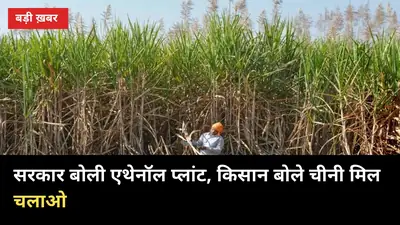 सरकार बोली एथेनॉल प्लांट, किसान बोले चीनी मिल चलाओ — छाता में 40 दिन से डटा धरना