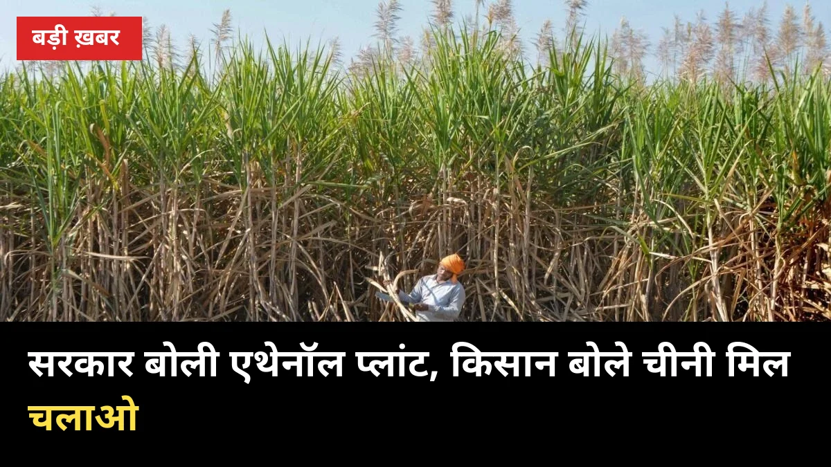 सरकार बोली एथेनॉल प्लांट, किसान बोले चीनी मिल चलाओ — छाता में 40 दिन से डटा धरना