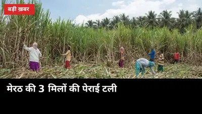 बारिश ने बदला मेरठ का पेराई कैलेंडर: दौराला 6 नवंबर, नंगलामल 5-7 नवंबर से