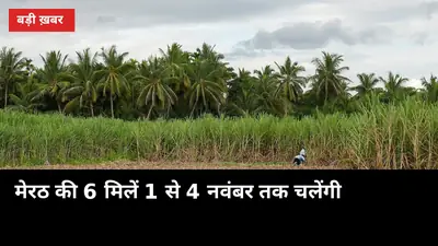 GannaUP — उत्तर प्रदेश गन्ना किसान पोर्टल