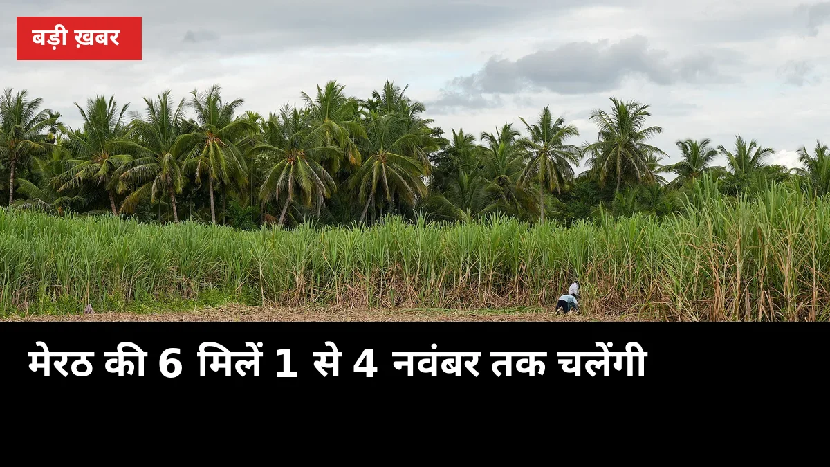 मेरठ के 2.22 लाख किसानों के लिए खुशखबरी: 1 नवंबर से चलेंगी 6 चीनी मिलें