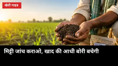 मिट्टी जांच कराओ, खाद की आधी बोरी बचेगी: गन्ना किसानों के लिए मृदा स्वास्थ्य कार्ड गाइड