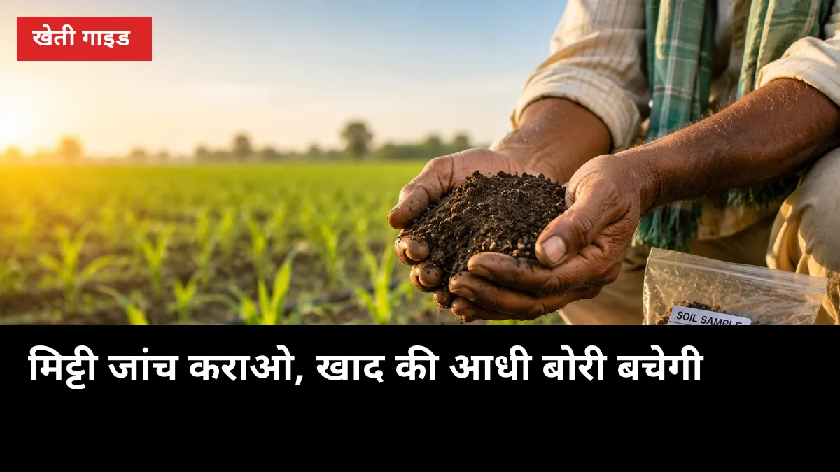 मिट्टी जांच कराओ, खाद की आधी बोरी बचेगी: गन्ना किसानों के लिए मृदा स्वास्थ्य कार्ड गाइड