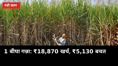 मुरादाबाद के किसान का हिसाब: 1 बीघे में ₹18,870 खर्च, बचत सिर्फ ₹5,130
