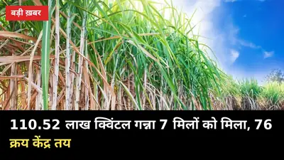 110.52 लाख क्विंटल गन्ना 7 मिलों को मिला, 76 क्रय केंद्र तय — किसानों पर क्या असर