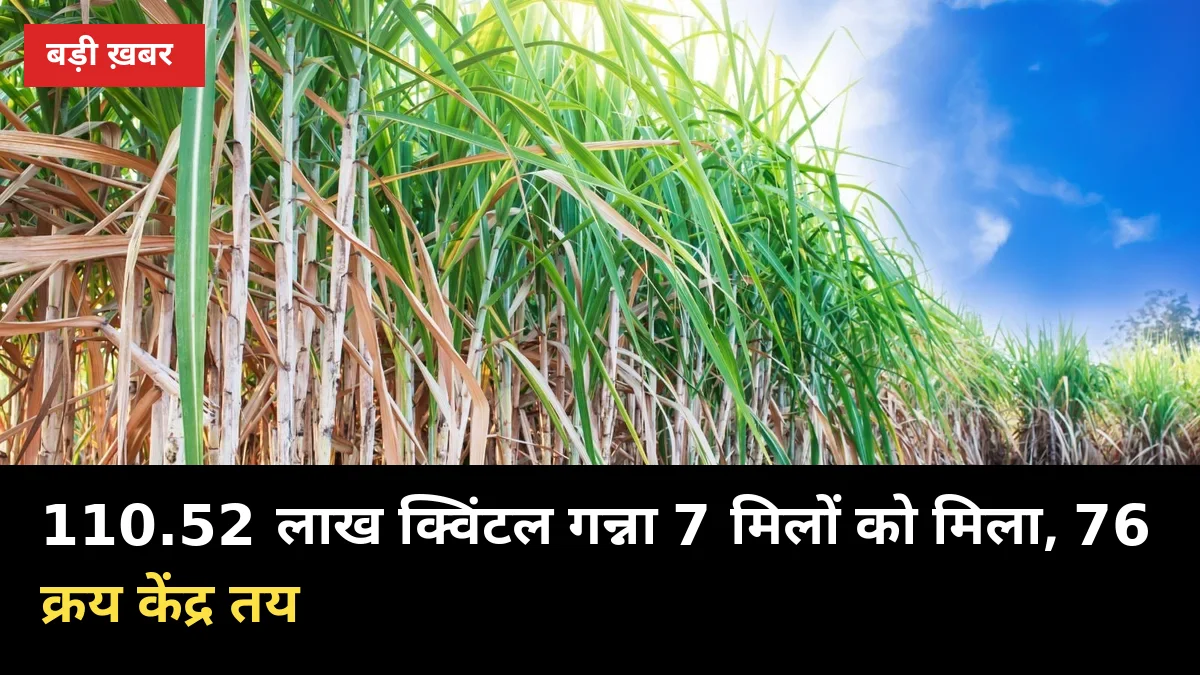 110.52 लाख क्विंटल गन्ना 7 मिलों को मिला, 76 क्रय केंद्र तय — किसानों पर क्या असर