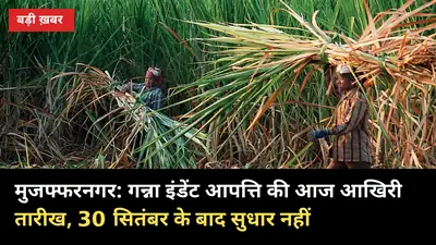 गन्ना इंडेंट: मुजफ्फरनगर में आज आखिरी दिन, 30 सितंबर के बाद कोटा-रिकॉर्ड में सुधार नहीं