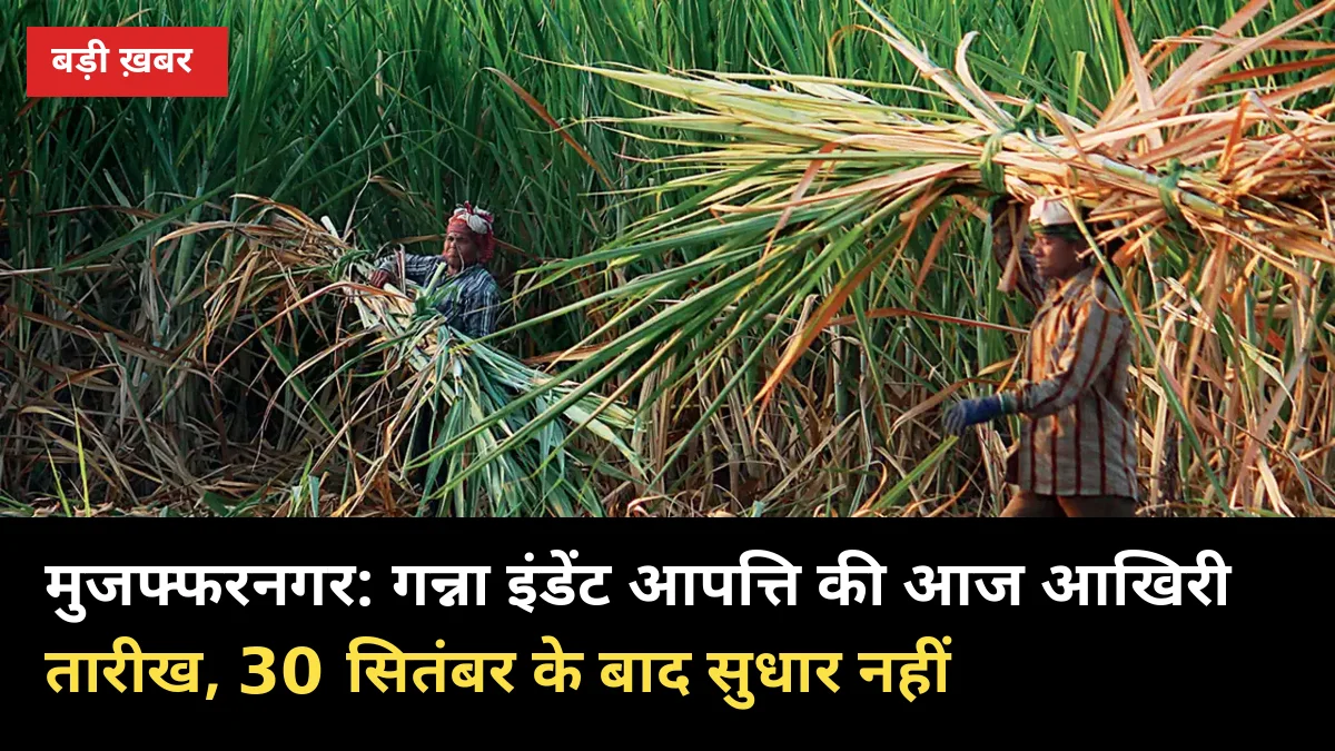 गन्ना इंडेंट: मुजफ्फरनगर में आज आखिरी दिन, 30 सितंबर के बाद कोटा-रिकॉर्ड में सुधार नहीं