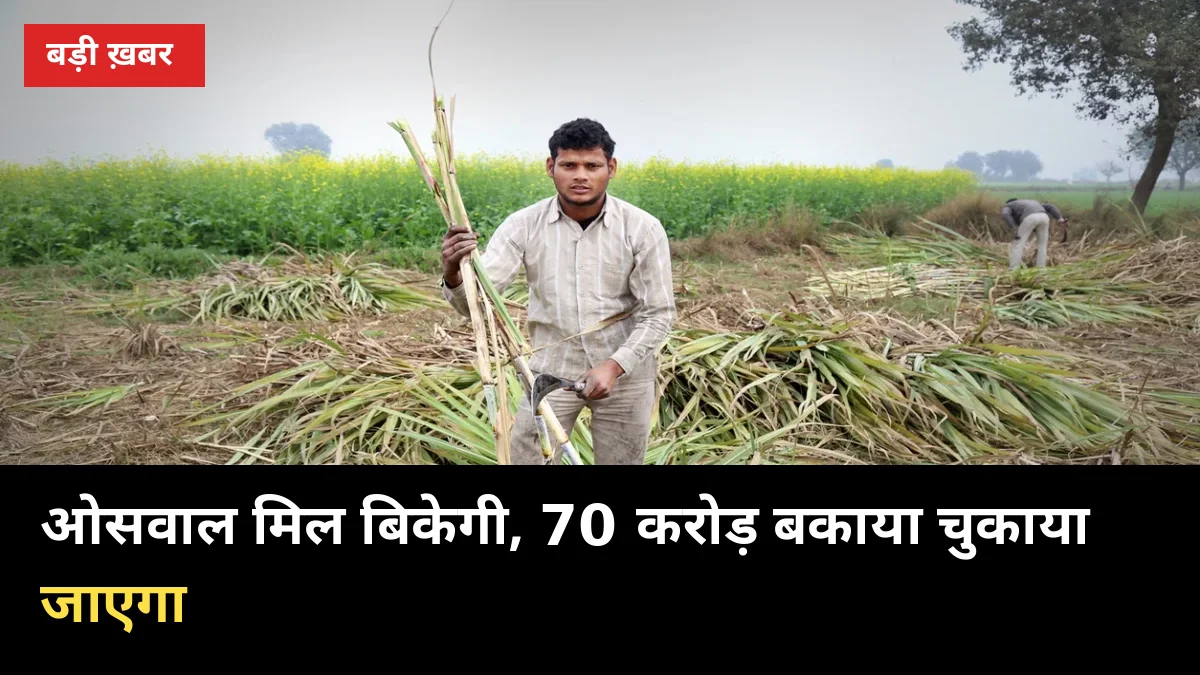 नवाबगंज ओसवाल मिल की पूरी बिक्री तय: 70 करोड़ बकाया चुकाने को खरीदार तलाशे जा रहे