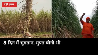 8 दिन में भुगतान, मुफ्त चीनी भी: सोलापुर-नंदुरबार की घोषणा से यूपी किसान क्या सीखें