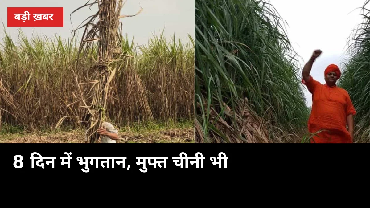 8 दिन में भुगतान, मुफ्त चीनी भी: सोलापुर-नंदुरबार की घोषणा से यूपी किसान क्या सीखें