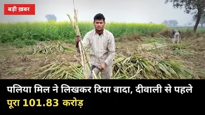 पलिया मिल ने लिखकर दिया वादा: 7% पेमेंट आज, दीवाली से पहले पूरा 101.83 करोड़