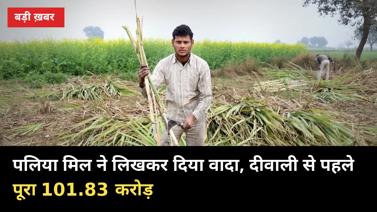 पलिया मिल ने लिखकर दिया वादा: 7% पेमेंट आज, दीवाली से पहले पूरा 101.83 करोड़