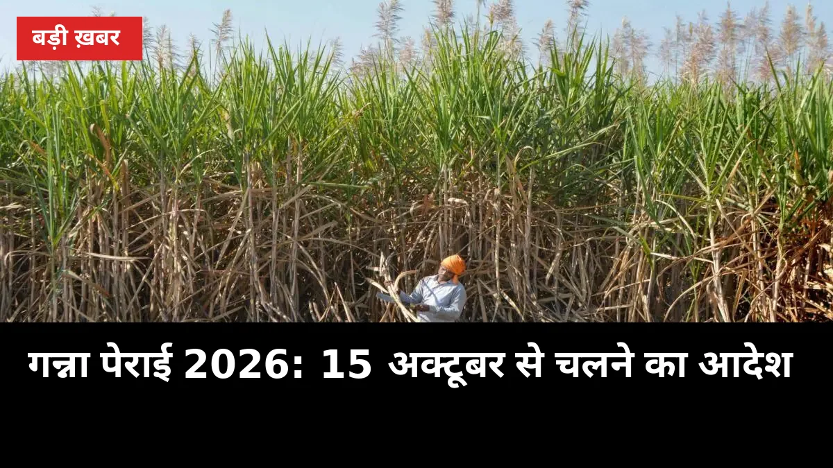 गन्ना पेराई 2026: 15 अक्टूबर से चलने का आदेश, अमरोहा-बिजनौर की मिलें सबसे आगे