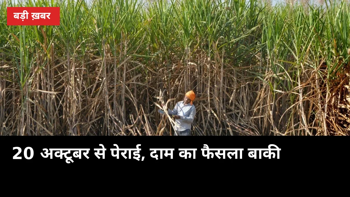 20 अक्टूबर से पेराई, दाम का फैसला अभी बाकी, पहले ये 5 काम निपटा लें