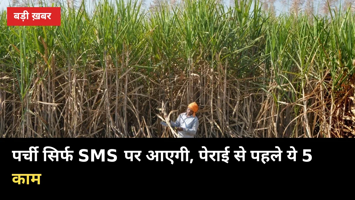 पर्ची सिर्फ SMS पर मिलेगी: 20 अक्टूबर से पेराई, मोबाइल में ये 5 काम अभी कर लो