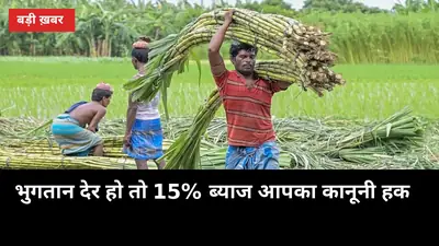 20 अक्टूबर से पेराई: इस बार भुगतान देर हो तो 15% ब्याज आपका कानूनी हक है