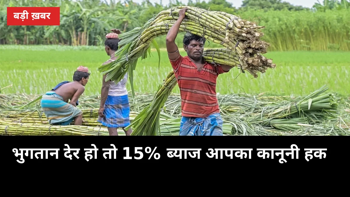 20 अक्टूबर से पेराई: इस बार भुगतान देर हो तो 15% ब्याज आपका कानूनी हक है