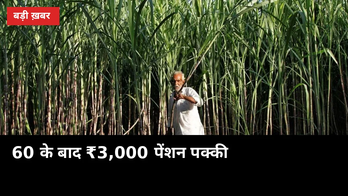 जितनी जल्दी जुड़ोगे, उतना कम चुकाना: 60 के बाद ₹3,000/माह पेंशन वाली किसान योजना