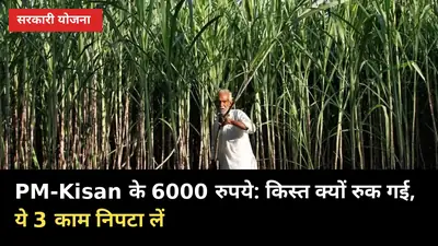PM-Kisan के 6000: खाते में किस्त क्यों रुक गई, ये 3 काम अभी निपटा लें