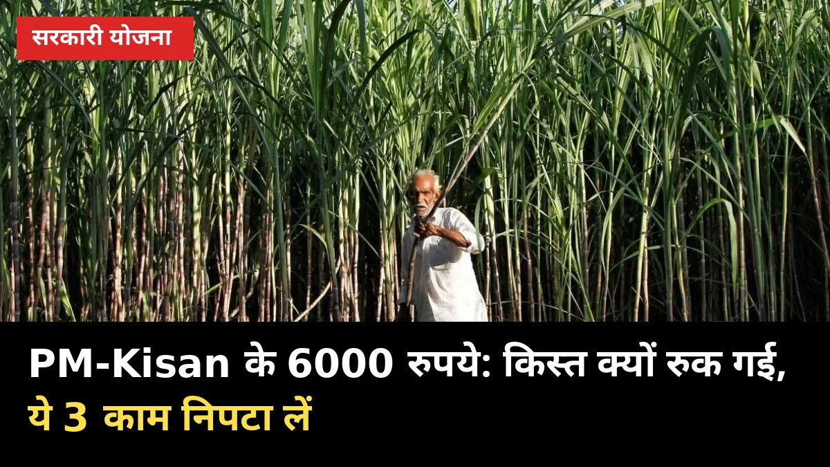 PM-Kisan के 6000: खाते में किस्त क्यों रुक गई, ये 3 काम अभी निपटा लें