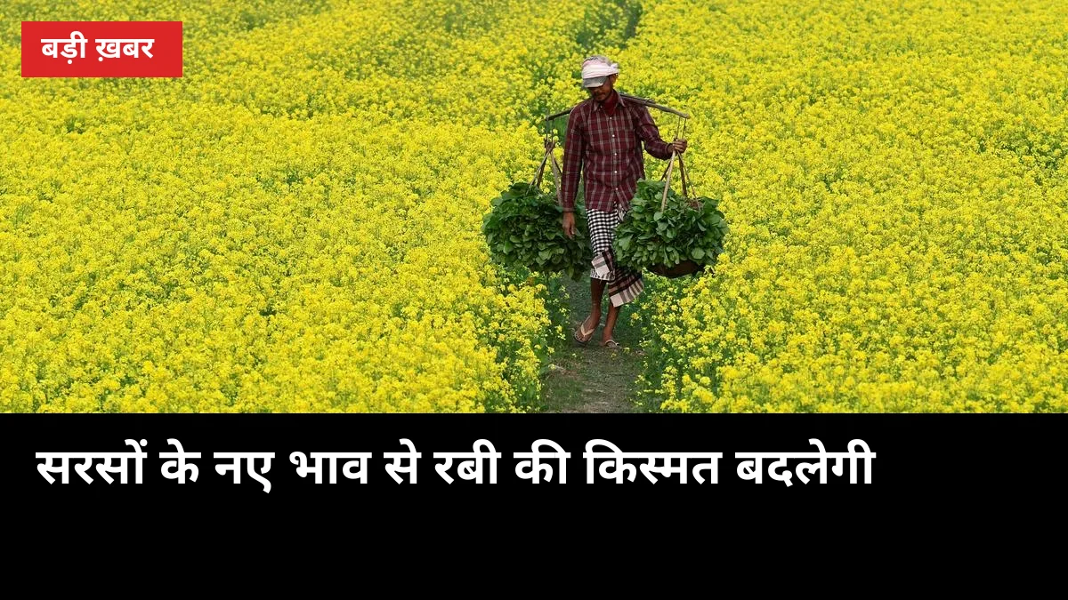 गेहूं में सिर्फ ₹25, सरसों में ₹413 का उछाल — 6 रबी फसलों के नए एमएसपी जानिए