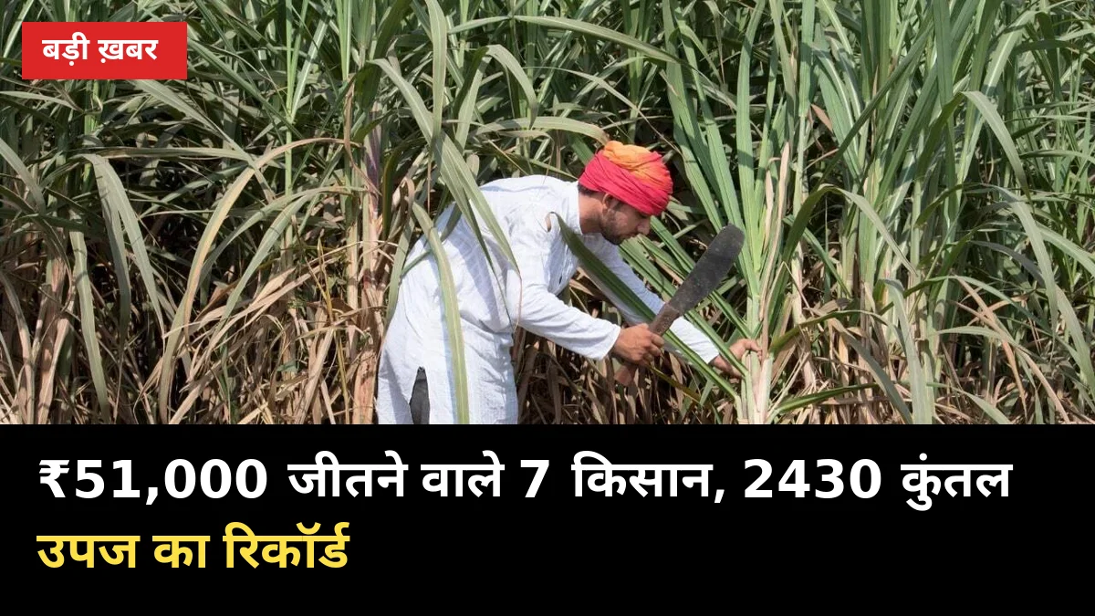 ₹51,000 जीतने वाले 7 किसान! 2430 कुंतल उपज का रिकॉर्ड — अगले साल आपकी बारी?