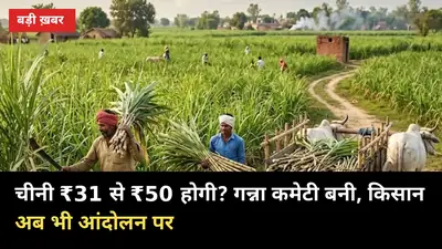 चीनी ₹31 से ₹50 होगी? 14 अक्टूबर को बनी गन्ना कमेटी, पर किसान अब भी आंदोलन पर