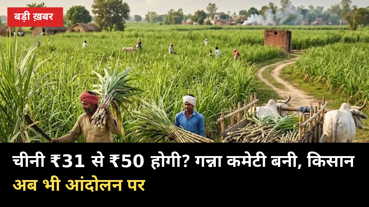 चीनी ₹31 से ₹50 होगी? 14 अक्टूबर को बनी गन्ना कमेटी, पर किसान अब भी आंदोलन पर